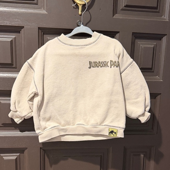 Zara Other - Zara Kids Cream Jurassic Park Sweatshirt